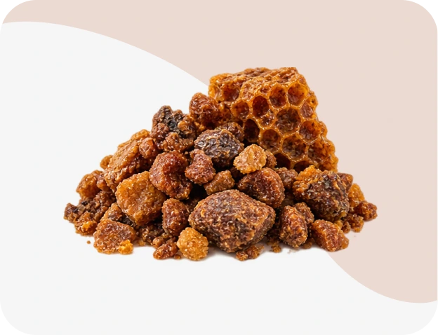 Bee Propolis